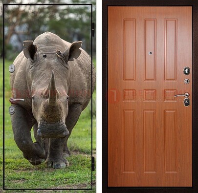 Металлическая дверь с фотопечатью носорога ДФ-31 в Калуге
